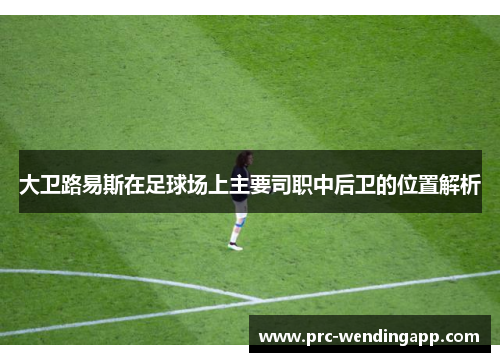 大卫路易斯在足球场上主要司职中后卫的位置解析
