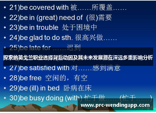 探索纳英戈兰职业选择背后动因及其未来发展潜在深远多重影响分析 探索纳英戈兰职业选择背后动因及其未来发展潜在深远多重影响分析