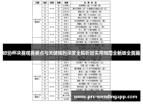 欧协杯决赛观赛要点与关键规则深度全解析超实用指南全新版全面篇 欧协杯决赛观赛要点与关键规则深度全解析超实用指南全新版全面篇