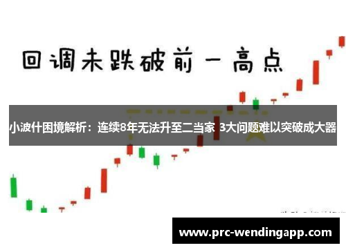小波什困境解析：连续8年无法升至二当家 3大问题难以突破成大器