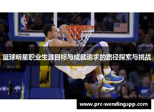 篮球明星职业生涯目标与成就追求的路径探索与挑战